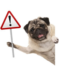 【注意喚起】弊社商品を無断掲載の詐欺サイトにご注意を