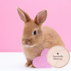 【2023年新春】明けましておめでとうございます