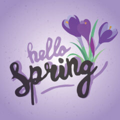 ポーランドと函館のクロッカス