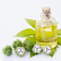 不思議なオイル【ひまし油】