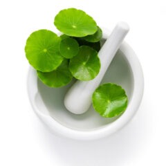 【CICA】って何？話題のスキンケア成分の効果を徹底解説