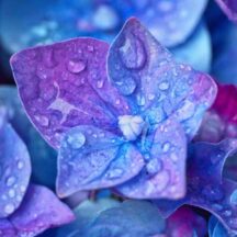 梅雨でも快適に。ミネラルコスメで叶える、さらりと心地よいベースメイク